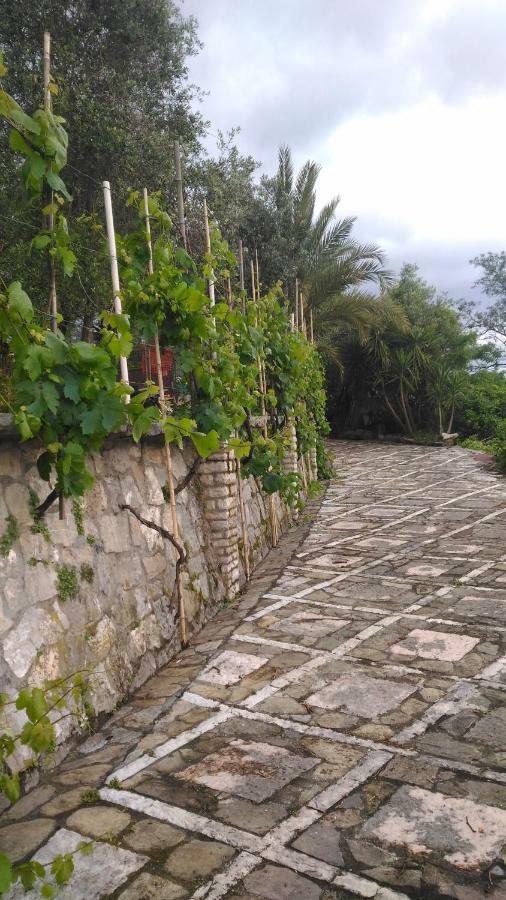 Casa Isabelle Mel Apartman La Spezia Kültér fotó